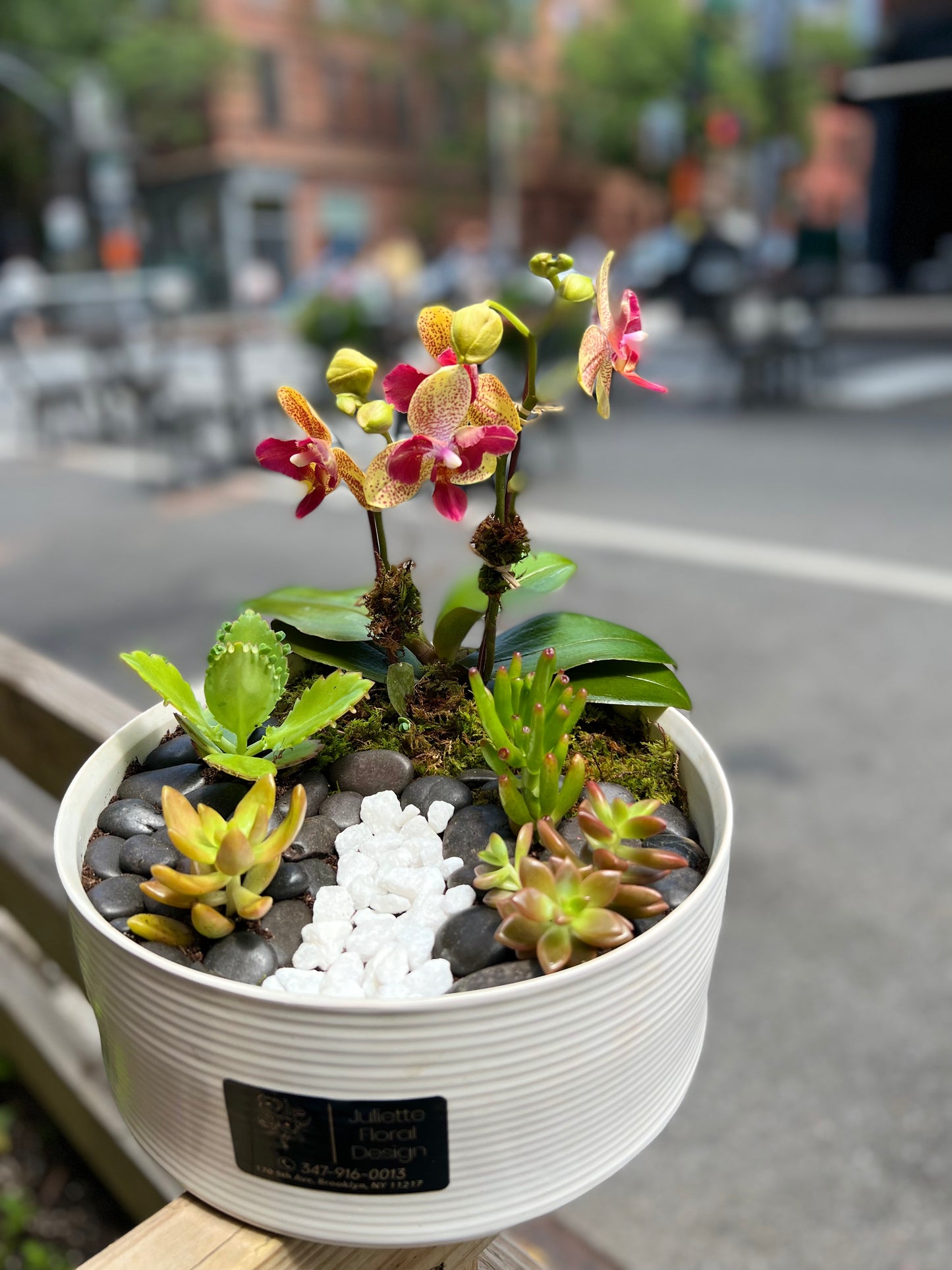 Terrarium-Designer choice