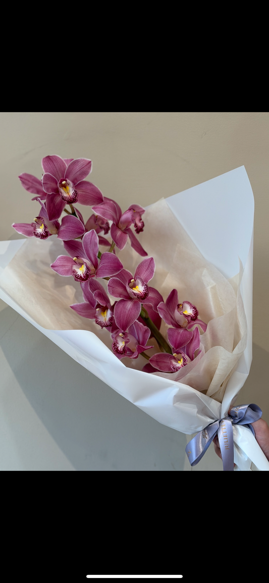 Orchid