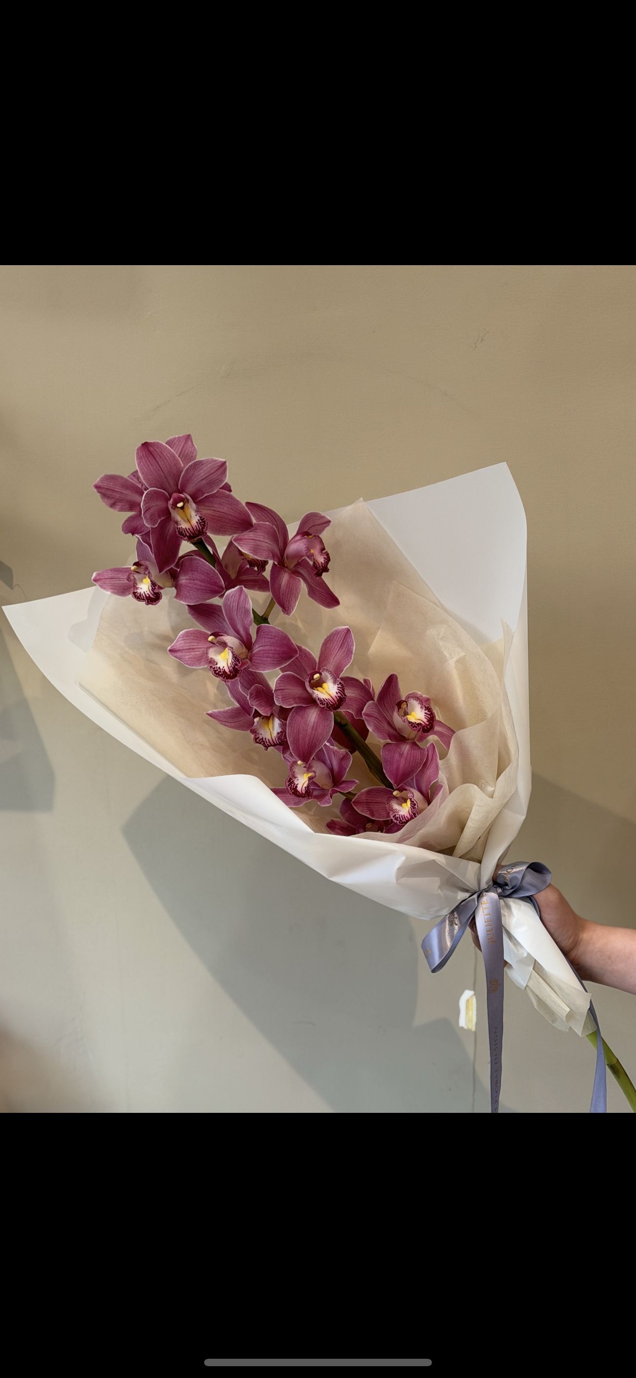 Orchid